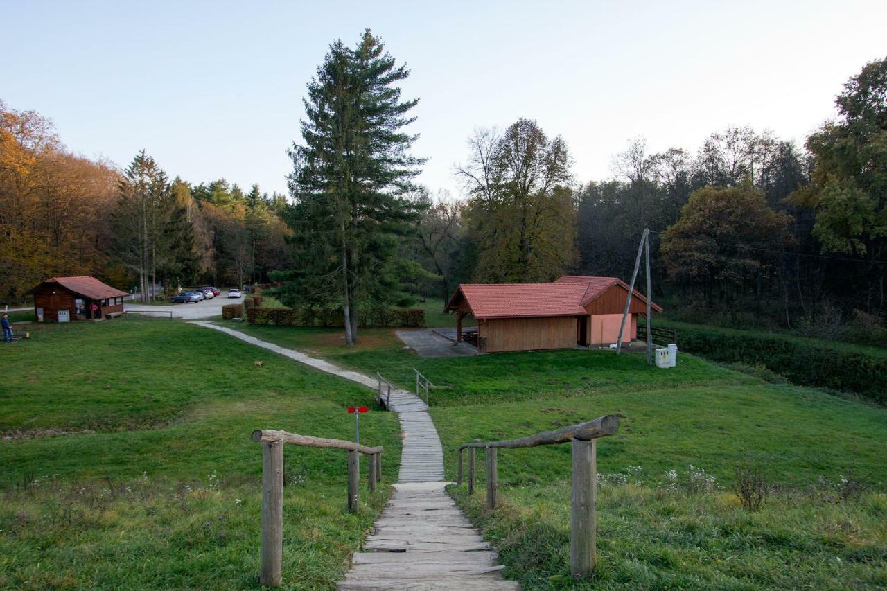 Holiday Home Janko Bogojina Bagian luar foto